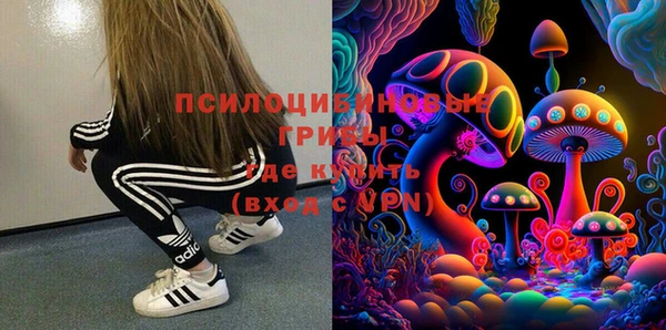 МДМА Козловка