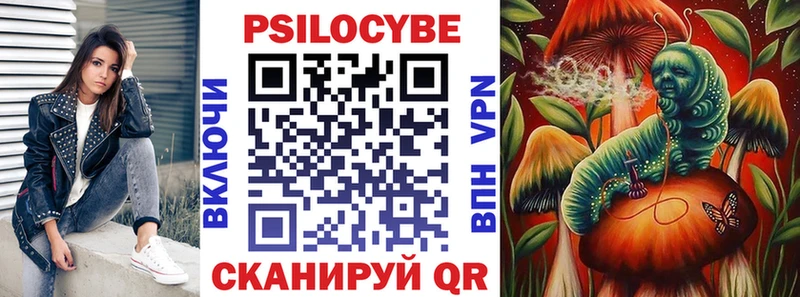 Псилоцибиновые грибы Cubensis Рузаевка